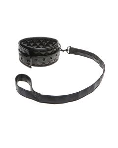 Allure X Play Collar & Leash