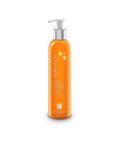 Meyer Lemon Plus C Creamy Cleanser Brightening 6 Oz Andalou Naturals