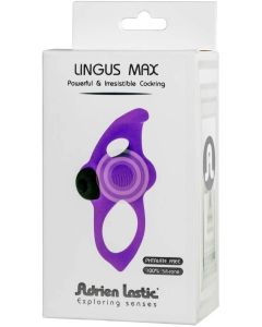 Lingus Max box