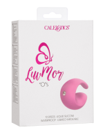 LuvMor 'O's Curved Rechargeable Silicone Vibrator CalExotics box