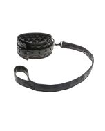 Allure X Play Collar & Leash