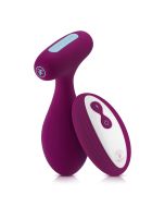 FemmeFunn Plua Vibrating Butt Plug Remote Control Rechargeable both