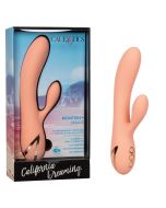 CalExotics California Dreaming Monterey Magic 10 Function Vibrator box
