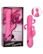 California Dreaming Santa Barbara Surfer Wave Function Vibrator box