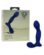 Viceroy Platinum Series Silicone Expert Probe Calexotics Dildo box