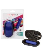 Bullet Vibrator CalExotics Hideaway box travel case