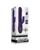 Evolved Rascally Rabbit Vibrator Thrusting Rotating Waterproof box