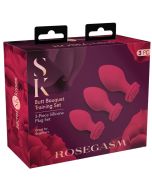 Secret Kisses Butt Plug Bouquet Training Set box