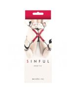 Sinful Hogtie Pink NS Novelties
