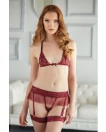 Allure Willow Lace & Mesh Bra & Garter G-string Two Piece Set bordo